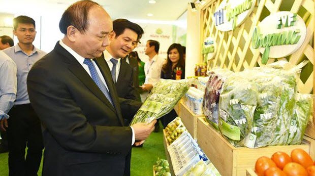 Gần 26.000 tỷ đồng đầu tư vào nông nghiệp Thái Bình